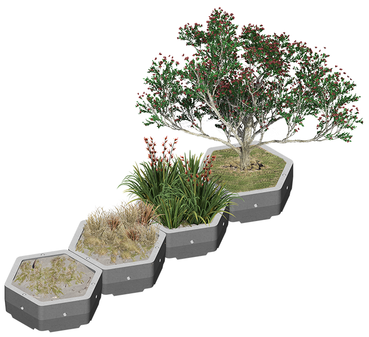 Ecoreef act as planter boxes